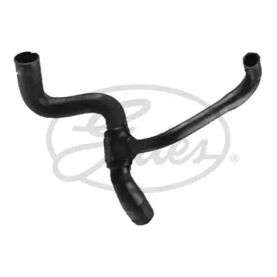 Шланг резиновый, FORD 1061213, FORD FOCUS, GATES (051910) Шланг резиновый, FORD 1061213, FORD FOCUS, GATES (051910)