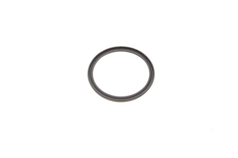 Уплотняющее кольцо сист agr N20/N47/N55, BMW 1, BMW X4, BMW (11618506782)