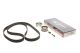 Комплект ремней ГРМ K025344XS AUDI