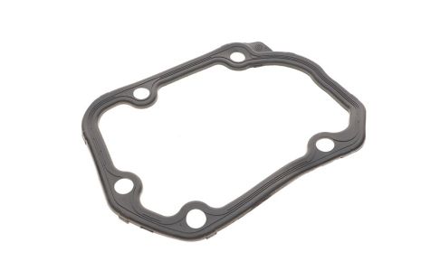 Прокладка, привод коробки переключения передач, SKODA FABIA, SEAT LEON, Borsehung (B17831)