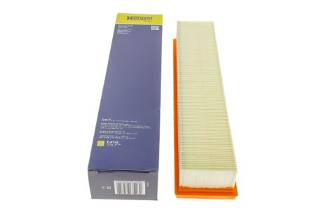 E474L (HENGST)