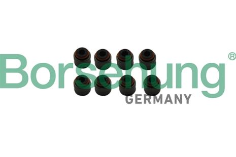 Seal Ring, valve stem, AUDI A3, SKODA FABIA, Borsehung (B19240)