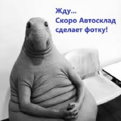 Сальник коленвала Lantra (J-1) задний, PAYEN (NJ251) (21321-42042)