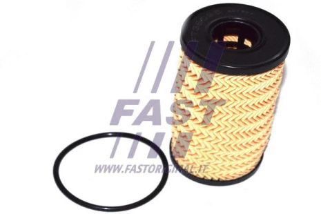 Масляный фильтр, NISSAN QASHQAI, VAUXHALL VIVARO, FAST (FT38095)
