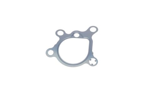 Прокладка, топливный насос высокого давления, FORD (CHANGAN), WESTFIELD SE, ELRING (642180)