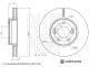 Диск тормозной RENAULT SCÉNIC, BLUE PRINT (ADBP430066)