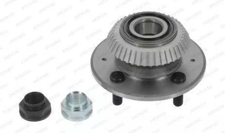 Маточина у зборі MG MG, ROVER COMMERCE, ROVER STREETWISE, MOOG (ROWB11646)