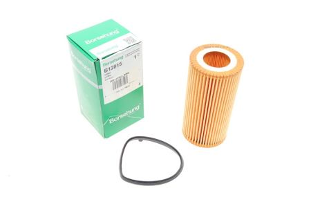 Масляный фильтр, SKODA OCTAVIA, SEAT EXEO, BORSEHUNG (B12815)