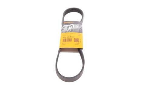 Ремінь генератора 6PK831 Transit 2.0 Di/TDCi 00> (-AC), CONTITECH (6PK831ELAST)