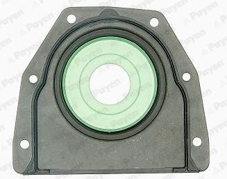 Сальник двигателя REAR FORD 1.25/2,0 ZETEC 80X142/168X15 PTFE в корпусе, после 11.99 (пр-во PAYEN)