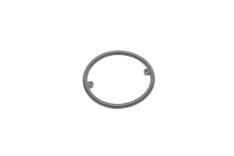 Seal Ring, oil cooler, SKODA SUPERB, SEAT ALHAMBRA, Vika (11170156501)