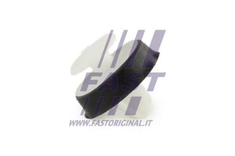 Зажим, молдинг / защитная накладка, NISSAN NV400, OPEL MOVANO, FAST (FT96309)