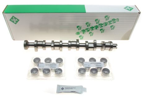 Комплект распредвала, VW TOUAREG, INA (428004430)