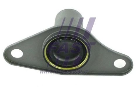 Seal Ring, oil drain plug, RENAULT THALIA, FAST (FT28205)