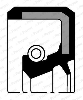 Уплотняющее кольцо, коленчатый вал NJ242 FIAT CHANGAN Уплотняющее кольцо, коленчатый вал NJ242 FIAT CHANGAN