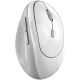 Мышь Genius Ergo 8350S AI Silent Wireless White (31030041401)