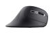 Мышь Trust Verro Ergonomic Wireless Mouse (23507)