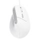 Мышь Trust Bayo 2 Ergonomic White (25397)