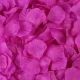 Пелюстки троянд штучні, упаковка 1000шт, Purple