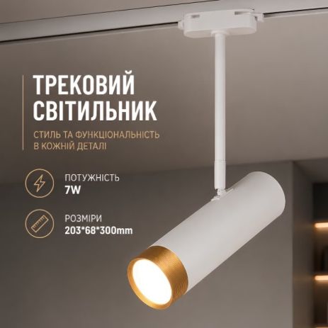 Светильник спот Sirius RN228 WT+GD