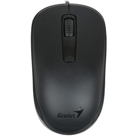 Мышь Genius DX-125 USB Black (31010106100) Мышь Genius DX-125 USB Black (31010106100)