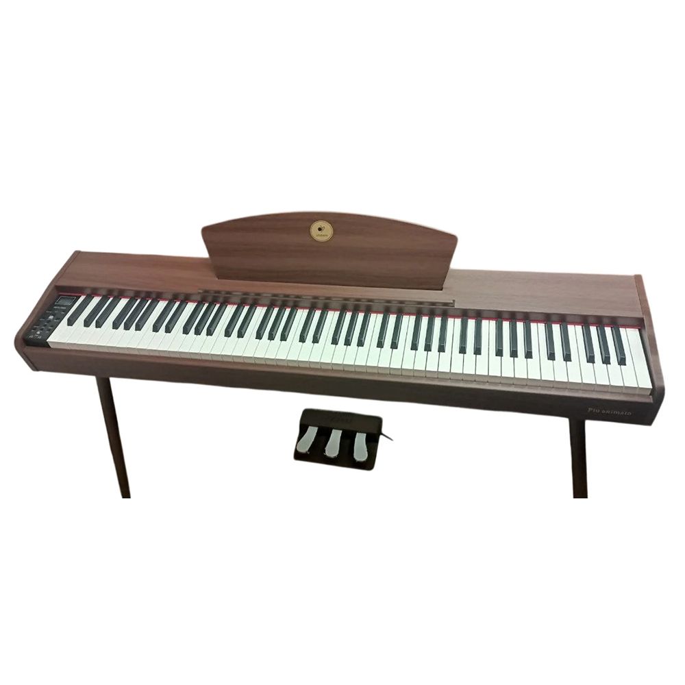 Цифровое пианино Alfabeto Piu Animato (Light Brown) Цифровое пианино Alfabeto Piu Animato (Light Brown)