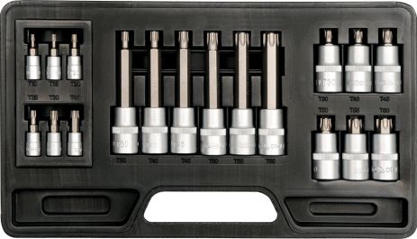 Наб. торц. голов. с встав.TORX T10-T60 Yato YT-7751 Наб. торц. голов. с встав.TORX T10-T60 Yato YT-7751
