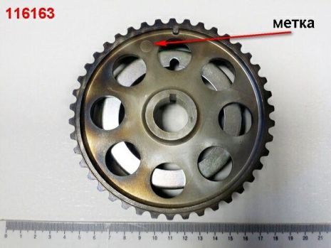 Звезда ГРМ ВАЗ 1118-2170 распредвала (впуск), ДААЗ (с кольцом) (21126-1006019) (21126-100601900)