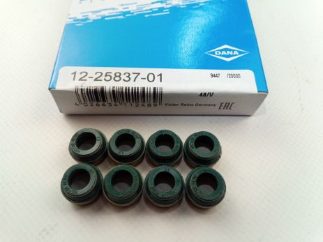 VAZ VALVES BAZ 2101-08, VICTOR REINZ (12-25837-01) K-T (2108-1007026)