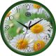 Настінний годинник (30 см) "ромашка" uta-01-gr-23 зелений