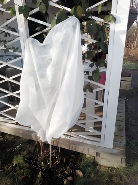 Защитный чехол для растений из волокна FLO Vorel 89750 Защитный чехол для растений из волокна FLO Vorel 89750