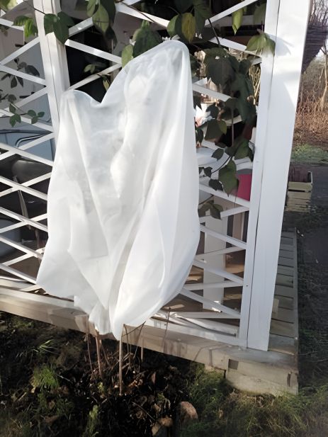 Защитный чехол для растений из волокна FLO Vorel 89750