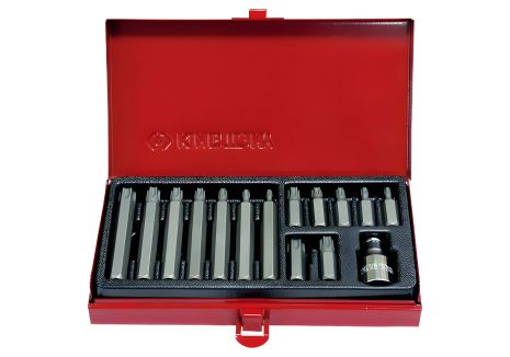 Набор бит 15 ед. с хвостовиком 10 мм (Torx) KING TONY 1015PQ