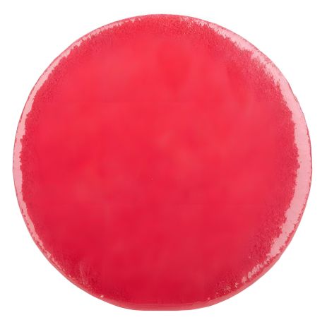 Полірувальний диск з натуральної повсті 125×7 мм на липучці INTERTOOL BT-0601