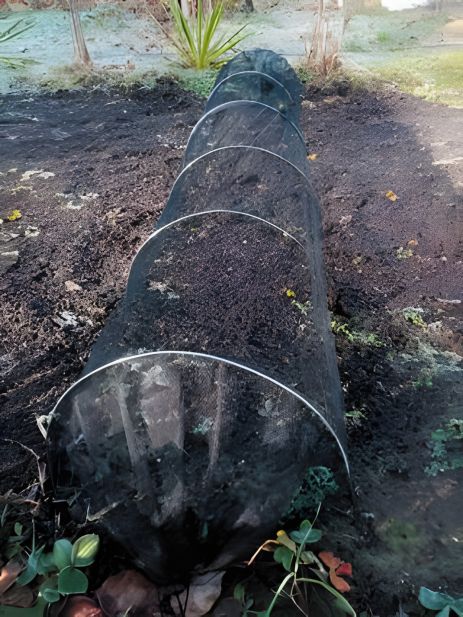 Тунель захисний для рослин FLO із чорної сітки, Vorel 89770