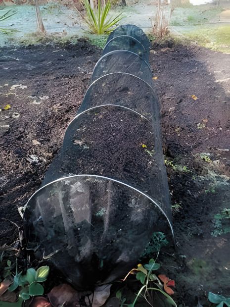 Тунель захисний для рослин FLO із чорної сітки, Vorel 89770