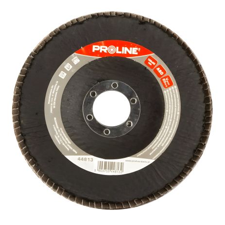 Круг шлифовальный лепестковый 125 х 22мм (А60) PROLINE 44812 Круг шлифовальный лепестковый 125 х 22мм (А60) PROLINE 44812