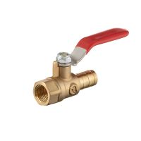 Латунный шаровый кран с внутренней резьбой 1/4" на шланг 12 мм, STORM INTERTOOL PT-1891